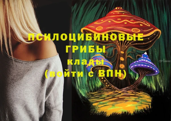 марки nbome Богородицк
