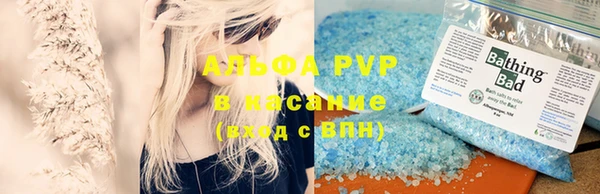 гидра Белокуриха