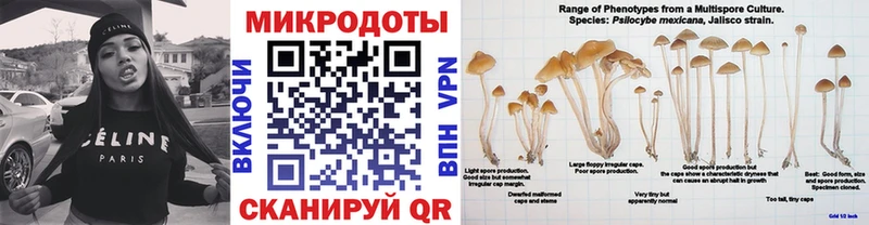 Псилоцибиновые грибы MAGIC MUSHROOMS  Верхняя Пышма 