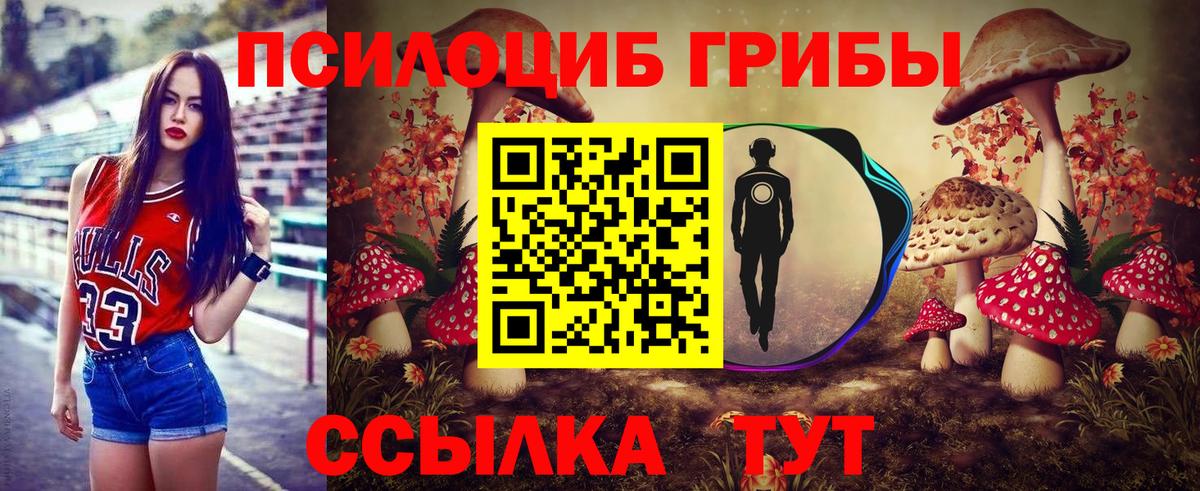 Галлюциногенные грибы мицелий Верхняя Пышма