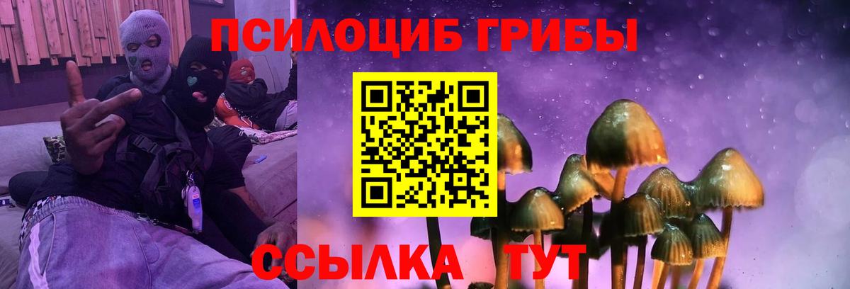 Верхняя Пышма  Псилоцибиновые грибы Psilocybine cubensis  Вход с VPN 